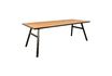 Miniatuur Seth 220X90 eiken tafel 8