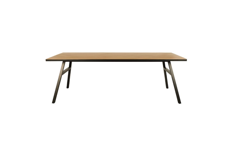 Het is een ongelooflijk modern en tijdloos product dat er geweldig uitziet in een grote eetkamer
