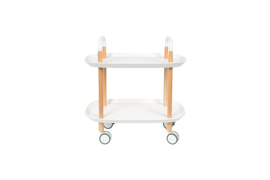 Witte Cruiser Service